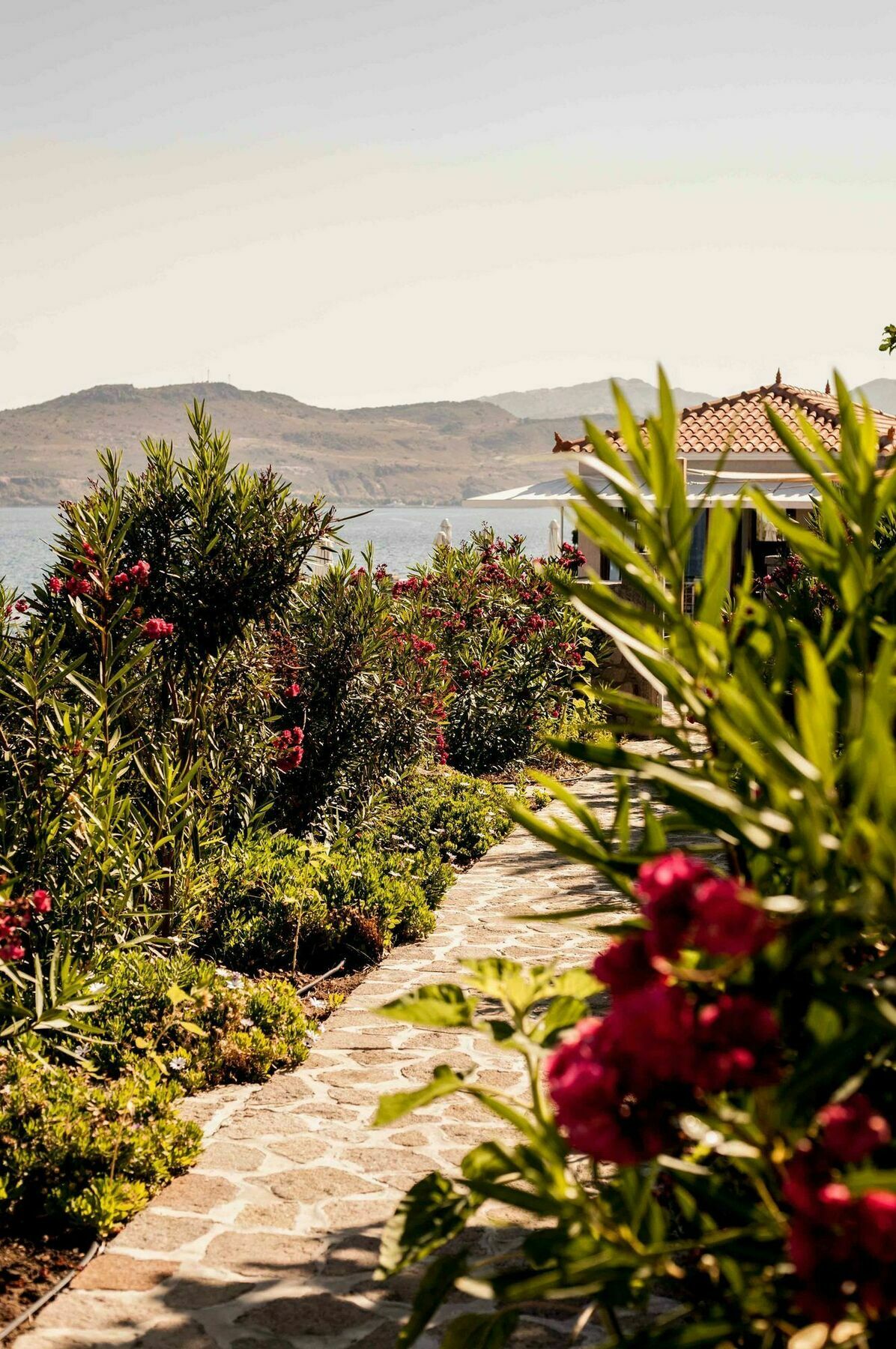 Apartmán Little Bird Petra  Exteriér fotografie